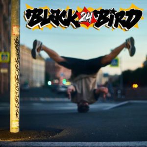 Black24Bird – Breakometry - 2022