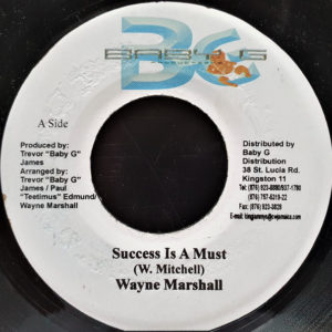 Wayne Marshall – Success Is A Must - 2003