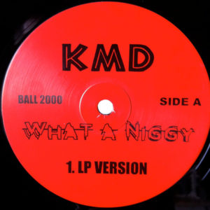 Del Tha Funkee Homosapien / KMD – Wrong Place / What A Niggy -