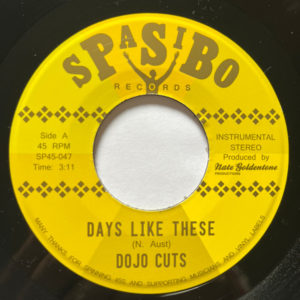Dojo Cuts – Days Like These / Take Me Away - 2025